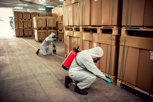 Best Flea Control Services  in Healdton, OK