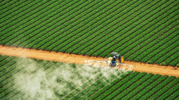 Professional Pest Control in Healdton, OK
