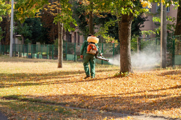Best Termite Control Services  in Healdton, OK