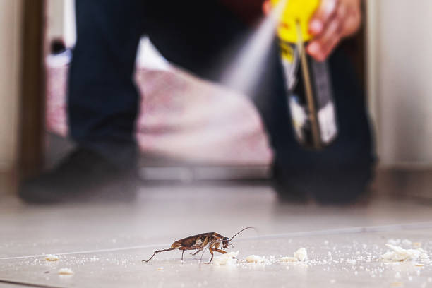 Best Pest Control Near Me  in Healdton, OK