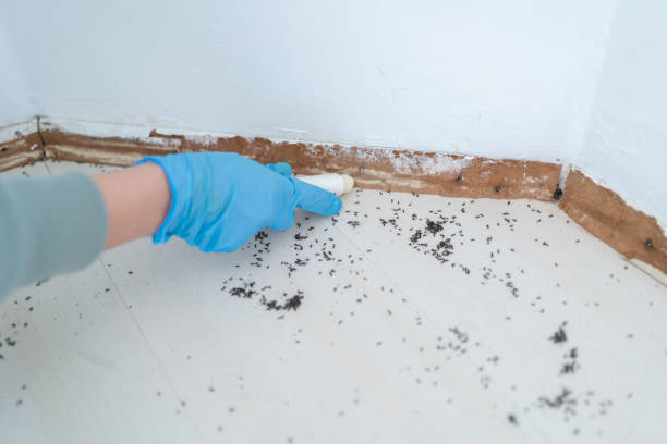 Best Wildlife Control Services  in Healdton, OK